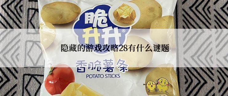 隐藏的游戏攻略28有什么谜题