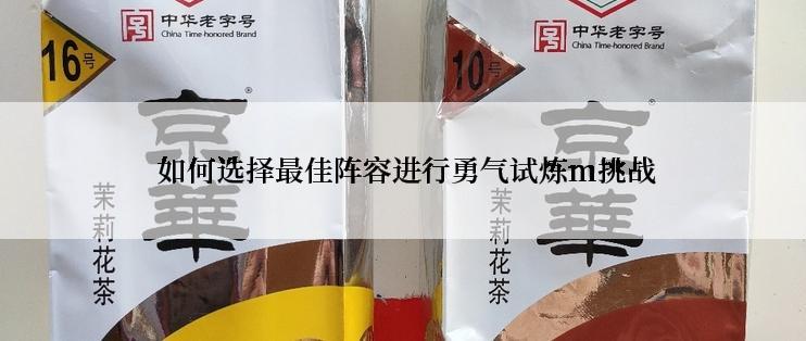  如何选择最佳阵容进行勇气试炼m挑战