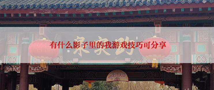  有什么影子里的我游戏技巧可分享