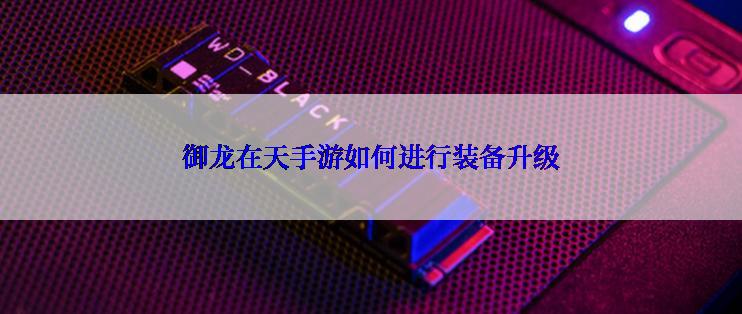 御龙在天手游如何进行装备升级