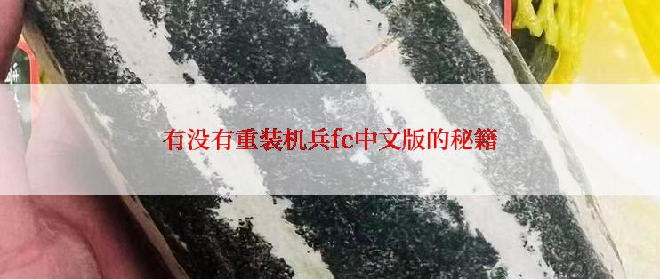 有没有重装机兵fc中文版的秘籍