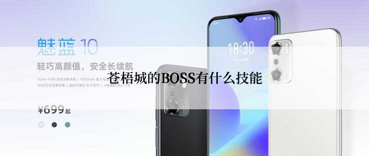 苍梧城的BOSS有什么技能