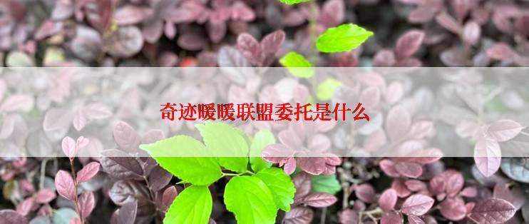 奇迹暖暖联盟委托是什么