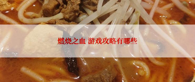 燃烧之血 游戏攻略有哪些