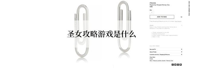 圣女攻略游戏是什么