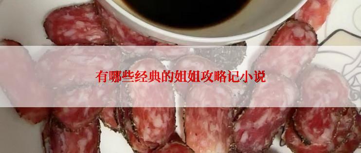 有哪些经典的姐姐攻略记小说