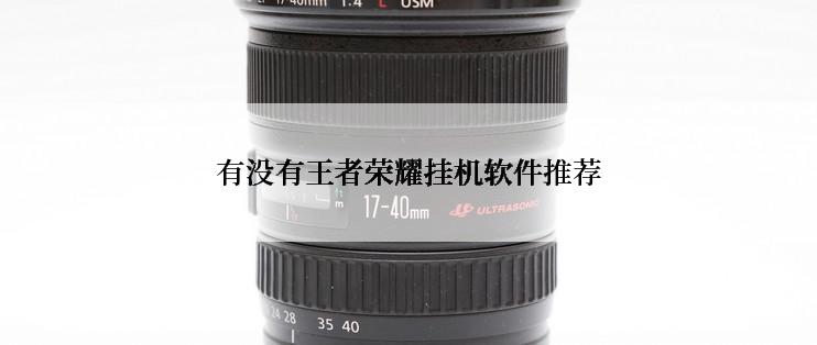 有没有王者荣耀挂机软件推荐