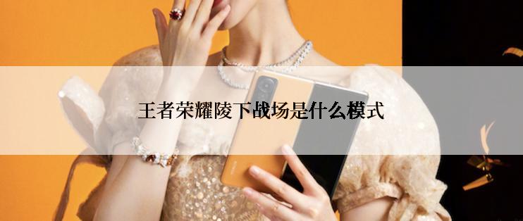 王者荣耀陵下战场是什么模式