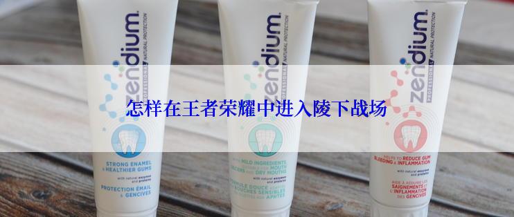 怎样在王者荣耀中进入陵下战场
