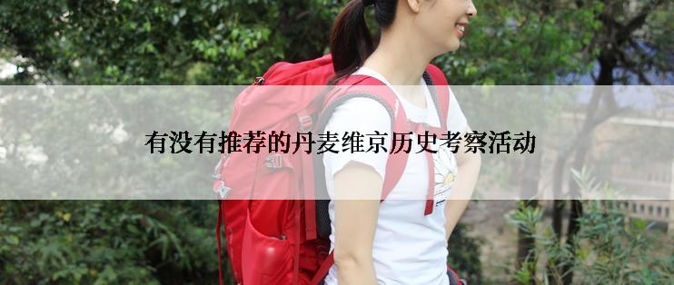  有没有推荐的丹麦维京历史考察活动