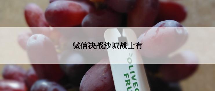 微信决战沙城战士有