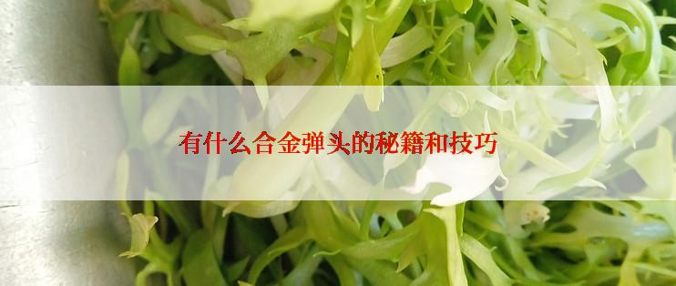 有什么合金弹头的秘籍和技巧