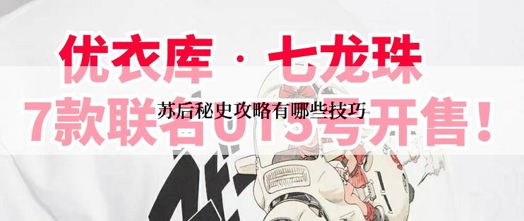 苏后秘史攻略有哪些技巧