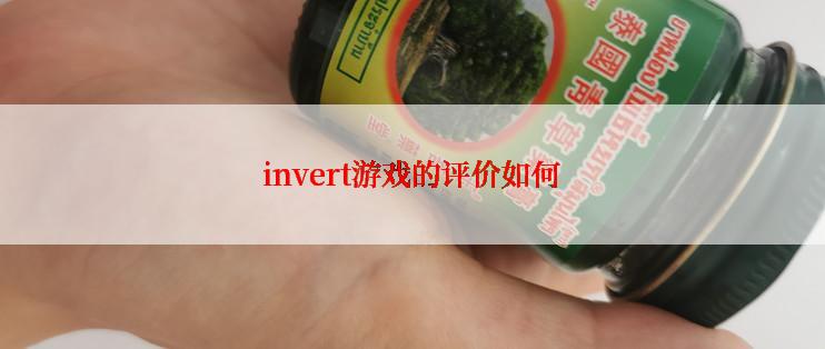 invert游戏的评价如何