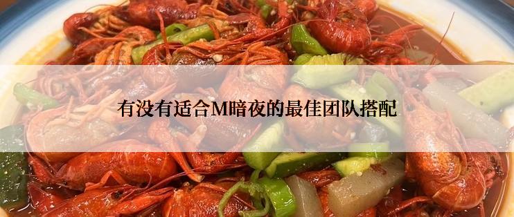 有没有适合M暗夜的最佳团队搭配