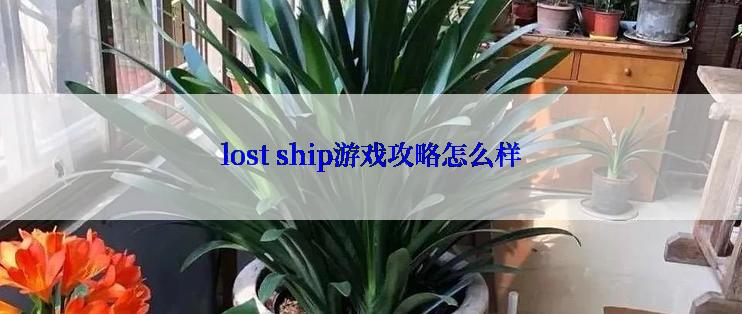 lost ship游戏攻略怎么样