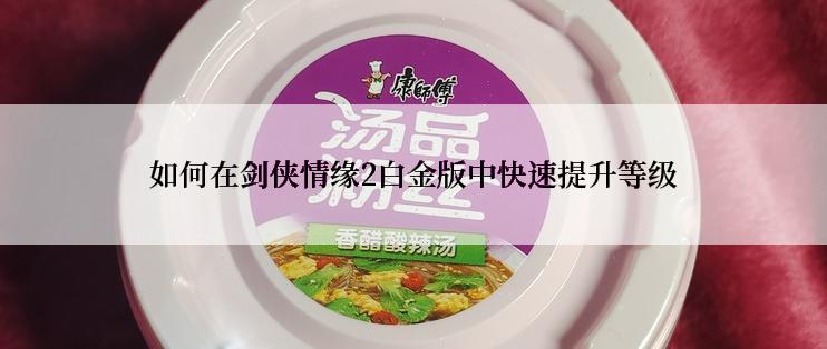 如何在剑侠情缘2白金版中快速提升等级