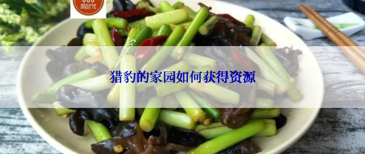 猎豹的家园如何获得资源