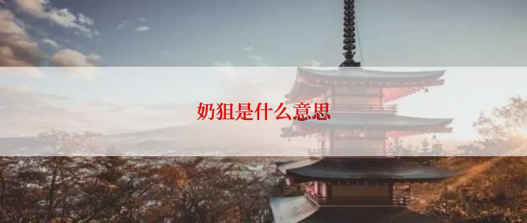奶狙是什么意思