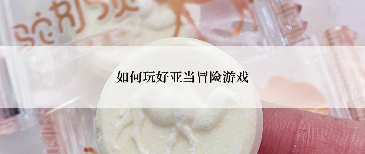 如何玩好亚当冒险游戏