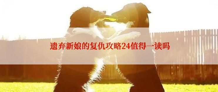  遗弃新娘的复仇攻略24值得一读吗
