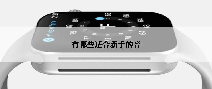 有哪些适合新手的音