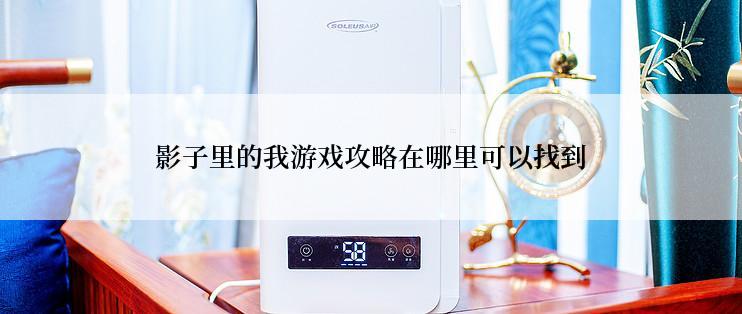 影子里的我游戏攻略在哪里可以找到
