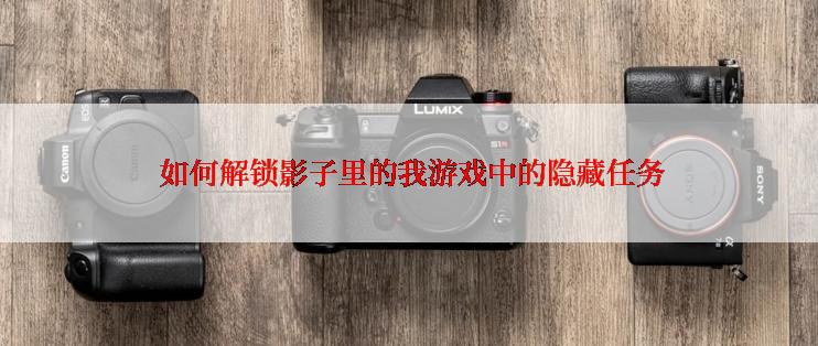  如何解锁影子里的我游戏中的隐藏任务