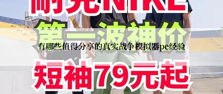 有哪些值得分享的真实战争模拟器pe经验