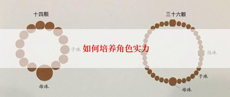  如何培养角色实力