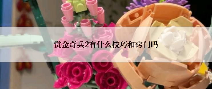 赏金奇兵2有什么技巧和窍门吗