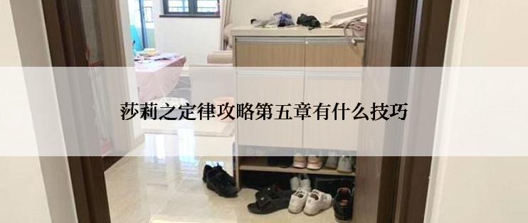 莎莉之定律攻略第五章有什么技巧