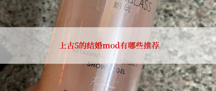  上古5的结婚mod有哪些推荐