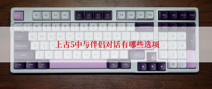  上古5中与伴侣对话有哪些选项