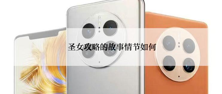 圣女攻略的故事情节如何