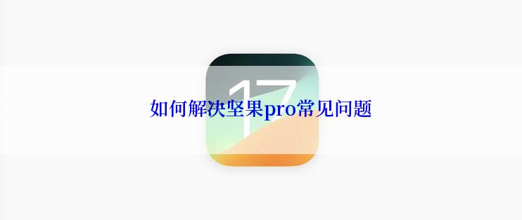 如何解决坚果pro常见问题
