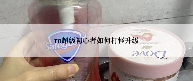 ro超级初心者如何打怪升级