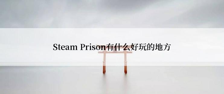 Steam Prison有什么好玩的地方