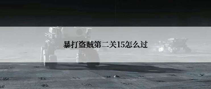 暴打盗贼第二关15怎么过