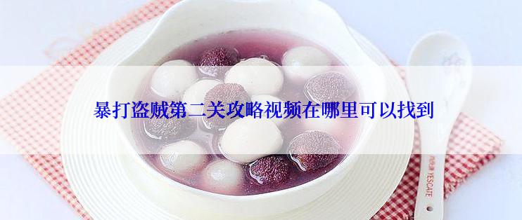  暴打盗贼第二关攻略视频在哪里可以找到