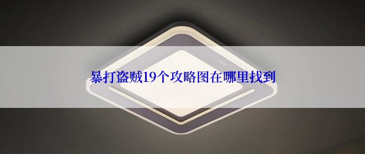 暴打盗贼19个攻略图在哪里找到
