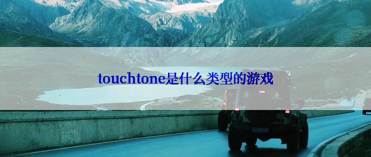 touchtone是什么类型的游戏