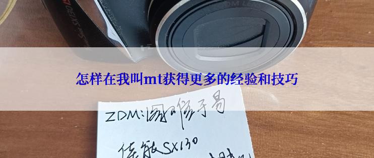 怎样在我叫mt获得更多的经验和技巧