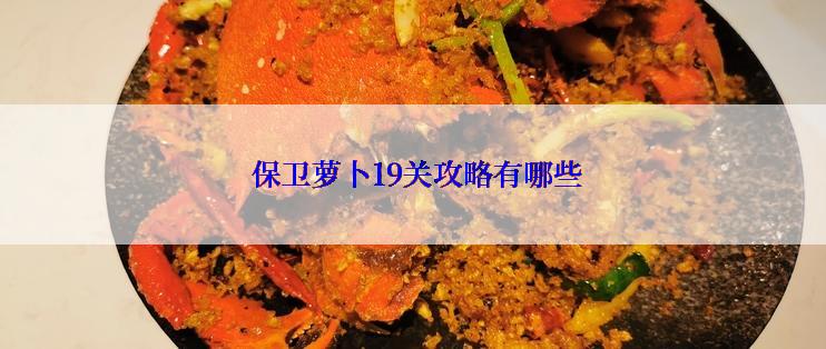  保卫萝卜19关攻略有哪些