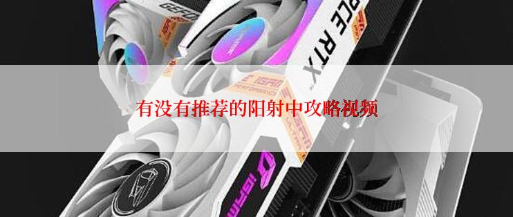 有没有推荐的阳射中攻略视频