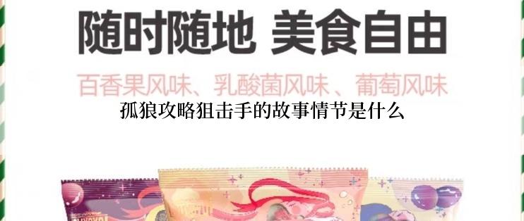 孤狼攻略狙击手的故事情节是什么