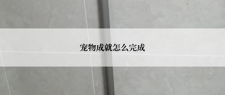 宠物成就怎么完成