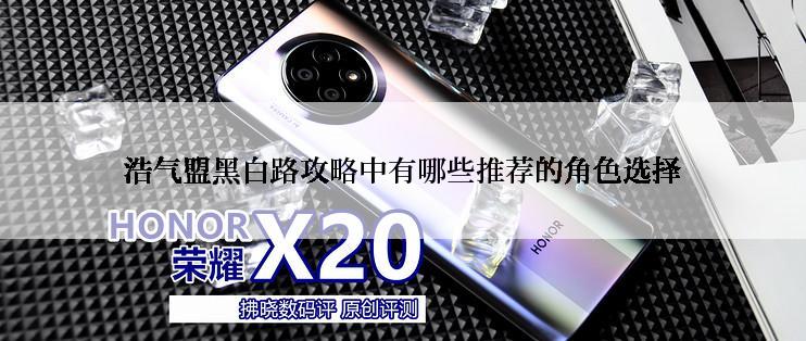 浩气盟黑白路攻略中有哪些推荐的角色选择