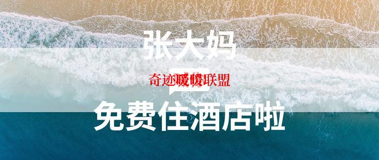 奇迹暖暖联盟