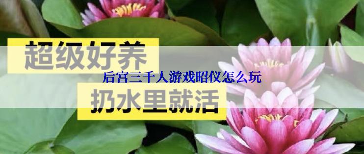 后宫三千人游戏昭仪怎么玩